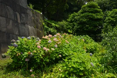 DSC_3338 (Large).JPG